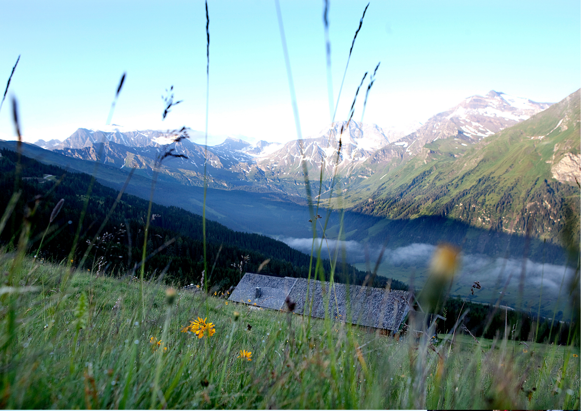 Stanzalm auf 1780 Meter Blick ins Krumeltal, Ritterkopf und Sonnblick. 